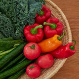 ★お試し価格★【大地の恵を凝縮した野菜ジュース・野菜ピュレ】おためしいろいろセット