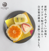 季節のフルーツ大福6個セット | フルーツ大福KAJITSUDO