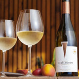 BIOSOPHY WINES - DISCOVERY SET (アルゼンチンワイン6本おまかせセット)