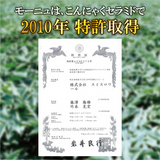 【クリーミィ ウォッシング フォーム】無添加・低刺激洗顔料 | Moonyu