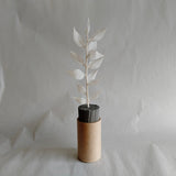 ドライフラワーと紙製花器の2セットを3ヶ月毎にお届け