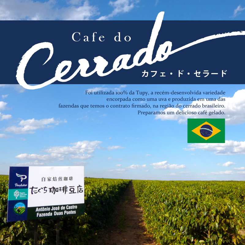 【ここでしか買えない!】ブラジルの希少なコーヒー豆250g