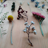 ★お試し価格★ドライフラワーと紙製花器 - 2セット