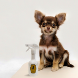 【無害無臭のペット用デオドラント】ワンちゃんラベル | LaKaren