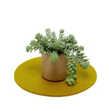 【返却可能】テーブルウェア7点 | グラフランツのピクニックセット