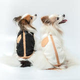 【3冠達成】キュートな新作ドッグウェア2点