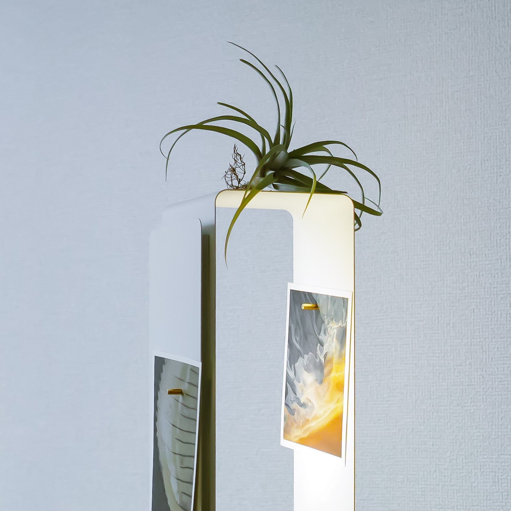 【返却可能】LIGHT SHELF | JIDAミュージアムセレクション選定