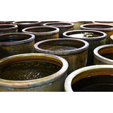 NMN ATHLETE DAILY ENZYMES | 酵素ペースト30包