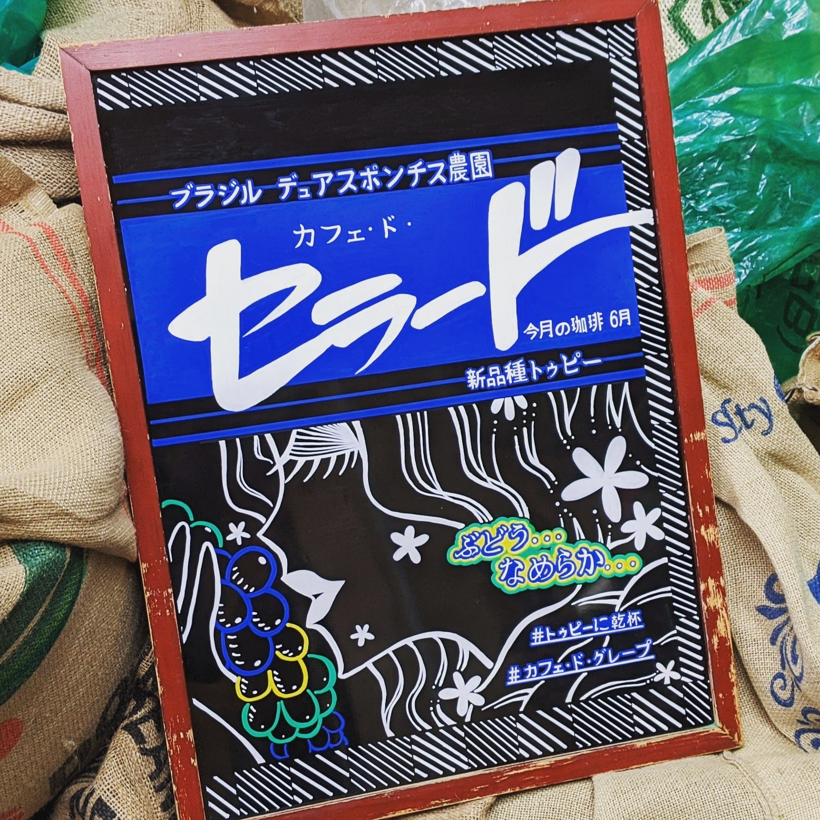 【ここでしか買えない!】ブラジルの希少なコーヒー豆250g