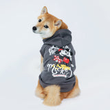 【3冠達成】キュートな新作ドッグウェア2点