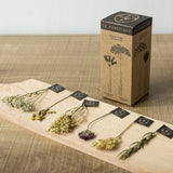 ★お試し価格★【フランス産】フランソワ プルミエ・ハーブティー6種