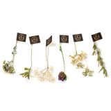 ★お試し価格★【フランス産】フランソワ プルミエ・ハーブティー6種