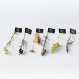 ★お試し価格★【トルコ産】スルタン ソリマン・ハーブティー6種