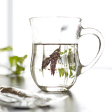 ★お試し価格★【トルコ産】スルタン ソリマン・ハーブティー6種