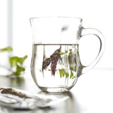 【送料無料 】上質なスルタン ソリマン シリーズ 6品種