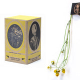 【送料無料 】上質なスルタン ソリマン シリーズ 6品種