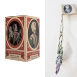 【送料無料 】上質なスルタン ソリマン シリーズ 6品種