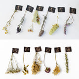 【送料無料 】EUオーガニック認証取得 | トルコ&フランス産ハーブティー12種