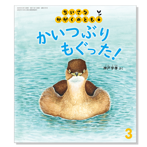 なんねえ　こどものとも34冊セット＋月刊かがくのとも12冊セット m73781641023_1.jpg?1748050685