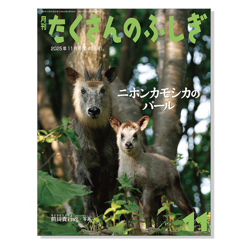 【たくさんのふしぎ】定期購読 | 11月号からお届け