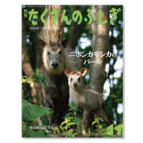 【たくさんのふしぎ】定期購読 | 福音館書店