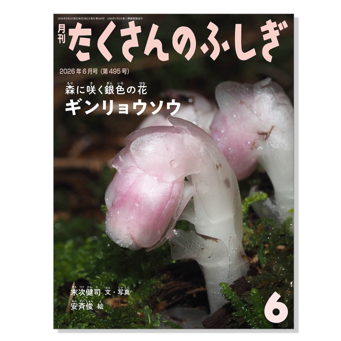 たくさんのふしぎ 36冊セット 絵本 福音館書店 【公式通販】