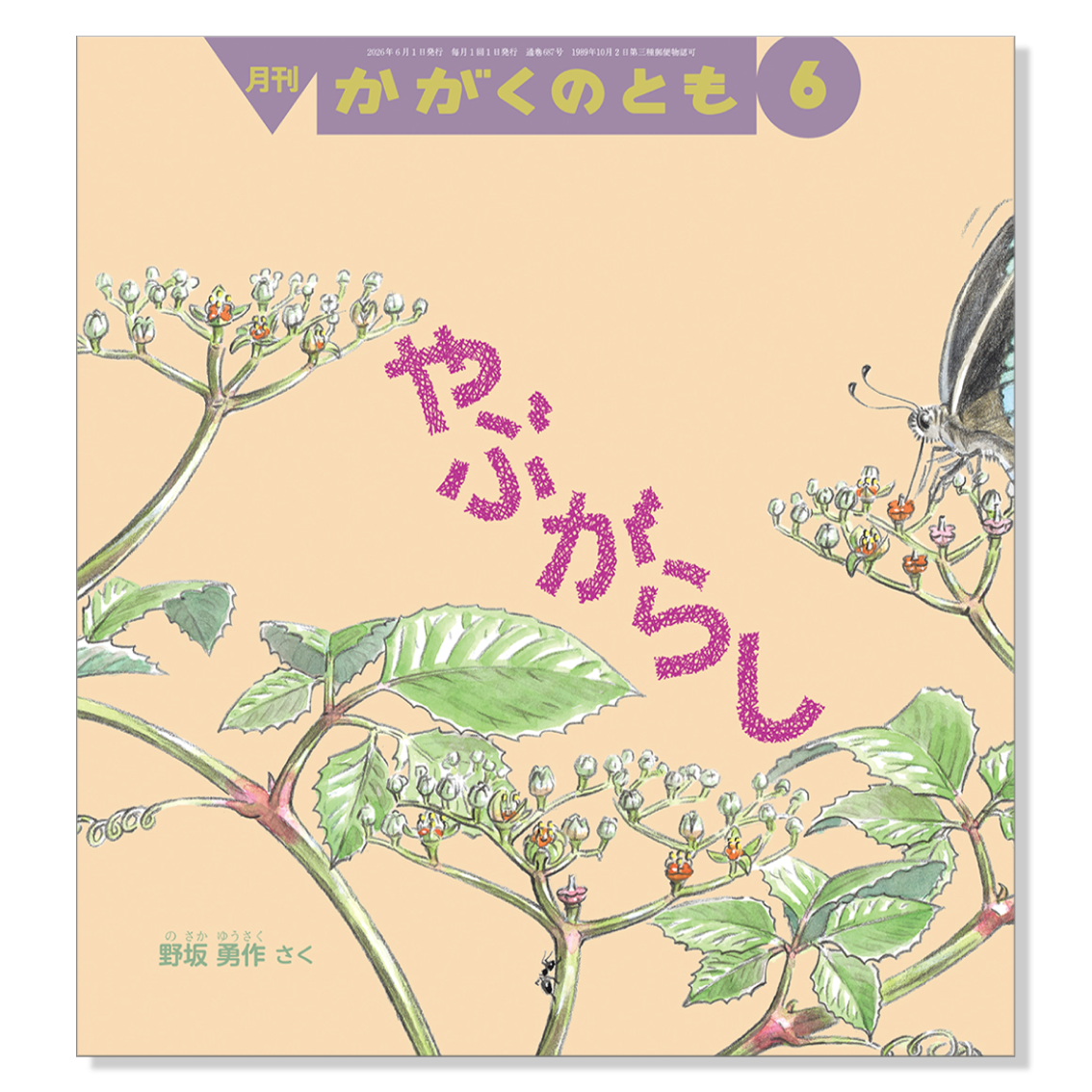 155冊まとめ売り】福音館こどものともかがくのとも 【公式通販】