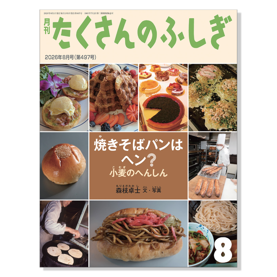【たくさんのふしぎ】定期購読 | 8月号からお届け