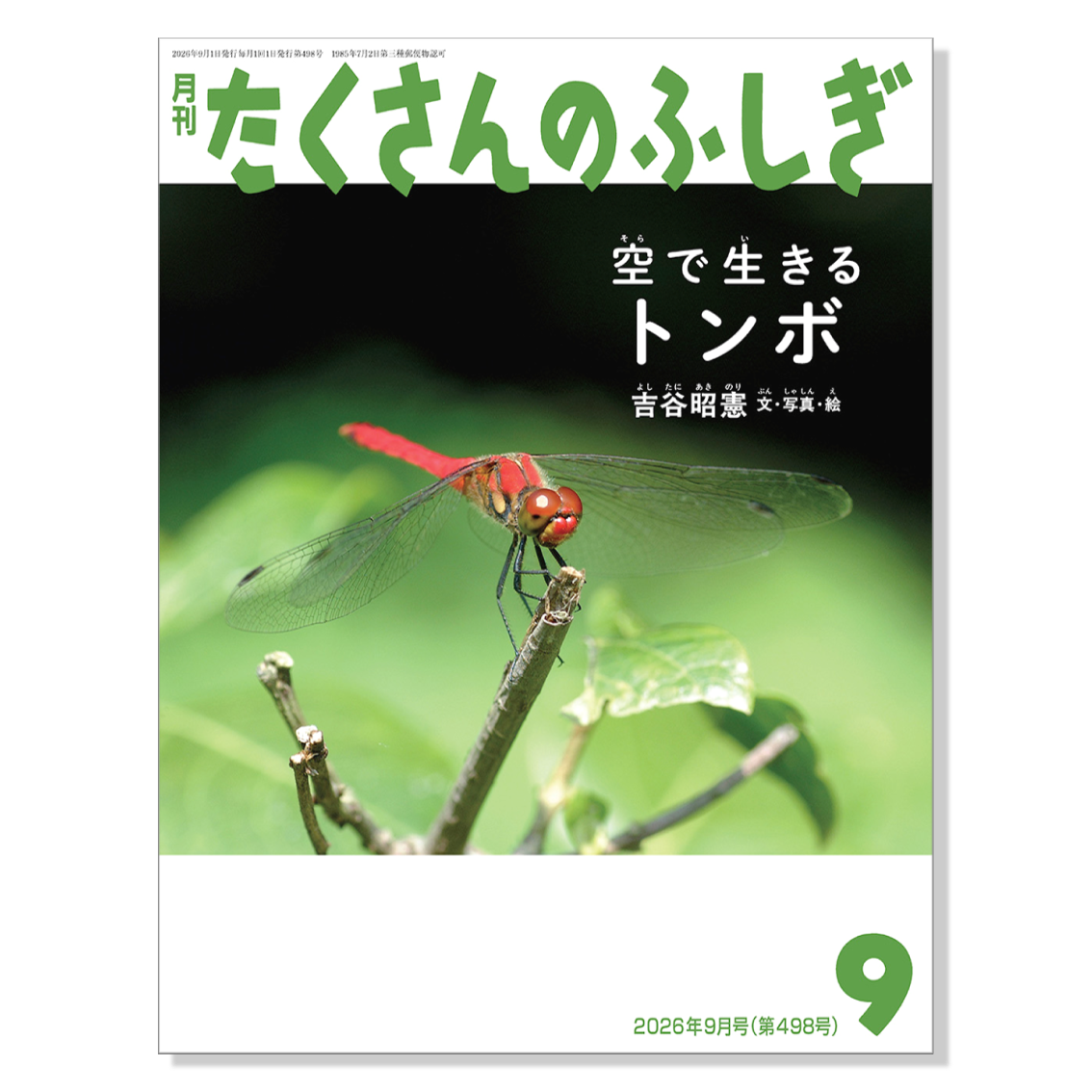 たくさんのふしぎ ひろば こどものとも 雑誌 月刊たくさんのふしぎ2021