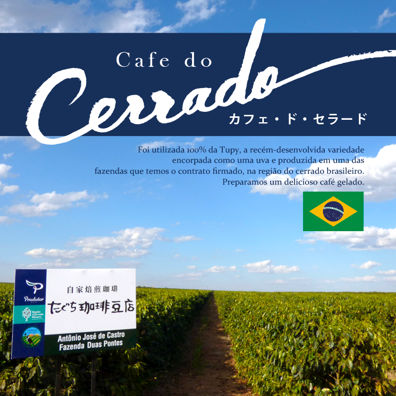 【ここでしか買えない！】ブラジルの希少なコーヒー豆250g