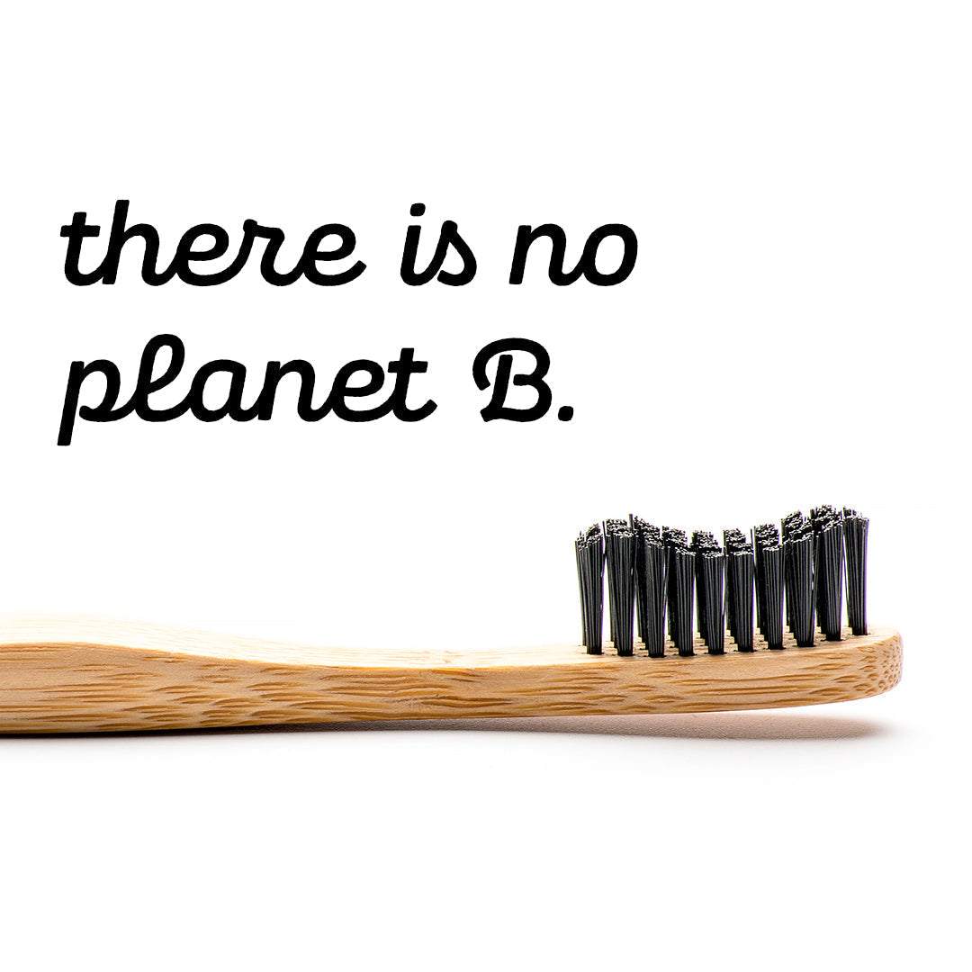 【6ヶ月毎にお届け】地球に優しいスウェーデン生まれの竹材歯ブラシ