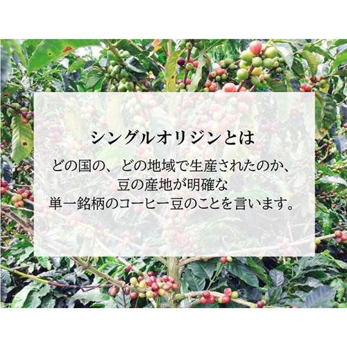 【コーヒーミルプレゼント】シングルオリジンコーヒー豆 | 200g×2種類